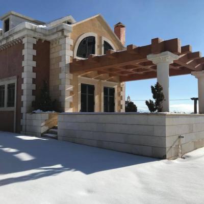 26219708 1465981390166580 3297709562708050540 N