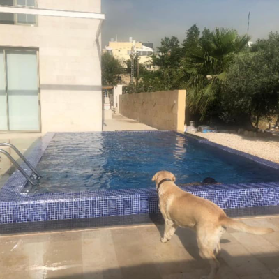 119962495 3154741051290597 2681558723342171429 N